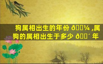 狗属相出生的年份 🌼 ,属狗的属相出生于多少 🌴 年